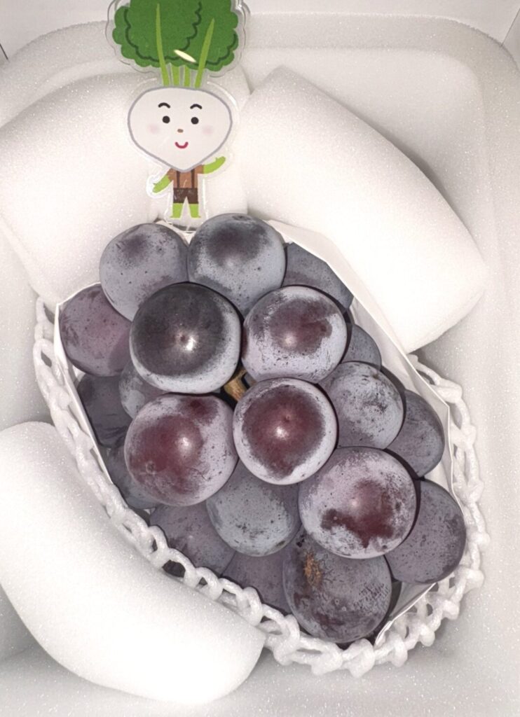 大黒天物産の株主優待到着写真 2000円相当のピオーネ 2025年5月権利分